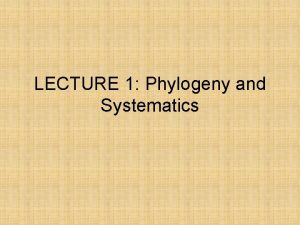 LECTURE 1 Phylogeny and Systematics What is Phylogeny