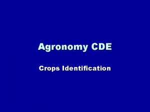 Agronomy CDE Crops Identification Choose Correct answer A