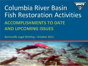 Columbia River Basin Fish Restoration Activities ACCOMPLISHMENTS TO