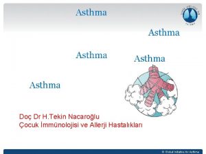 Asthma Do Dr H Tekin Nacarolu ocuk mmnolojisi