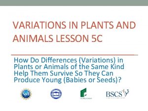 VARIATIONS IN PLANTS AND ANIMALS LESSON 5 C