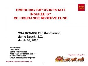 EMERGING EXPOSURES NOT INSURED BY SC INSURANCE RESERVE