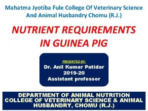 Mahatma Jyotiba Fule College Of Veterinary Science And