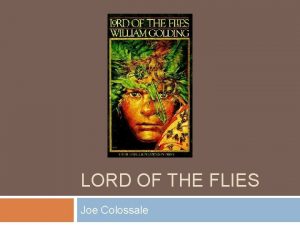 LORD OF THE FLIES Joe Colossale Summary Plane
