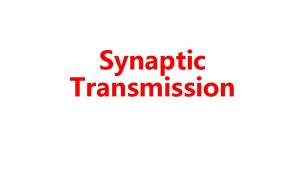 Synaptic Transmission Functional anatomy As many as 10