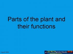 Parts of the plant and their functions August