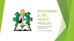 IESTP PEDRO A DEL AGUILA HIDALGO PLANTAS MEDICINALES