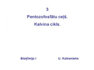 3 Pentozofosftu ce Kalvina cikls Biomija I U