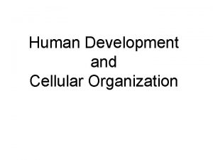 Human Development and Cellular Organization Human Growth and