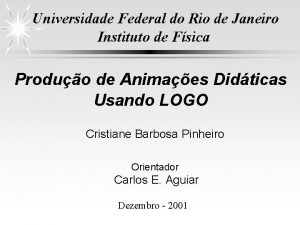 Universidade Federal do Rio de Janeiro Instituto de