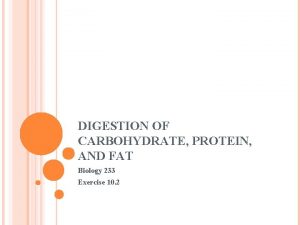 DIGESTION OF CARBOHYDRATE PROTEIN AND FAT Biology 233