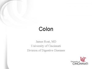 Colon James Roat MD University of Cincinnati Division