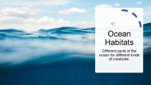 Ocean Habitats Different parts of the ocean for