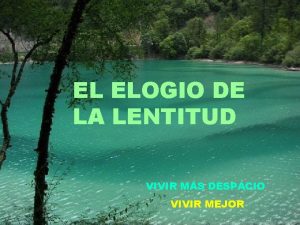 EL ELOGIO DE LA LENTITUD VIVIR MS DESPACIO