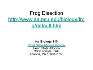 Frog Disection http www aa psu edubiologyfro gdefault