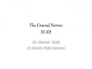 The Cranial Nerves XIXII Dr Zeenat Zaidi Dr