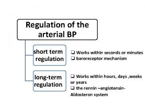 Regulation of the arterial BP short term regulation