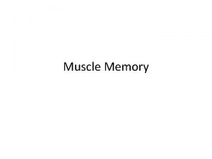 Muscle Memory Pectoralis Major Location Chest Movement Shoulder