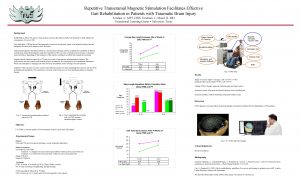 Repetitive Transcranial Magnetic Stimulation Facilitates Effective Gait Rehabilitation