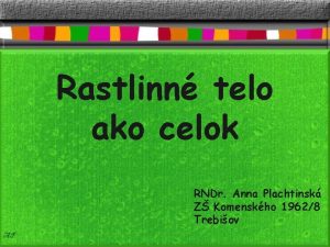 Rastlinn telo ako celok RNDr Anna Plachtinsk Z