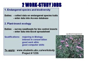 2 WORKSTUDY JOBS 1 Endangered species and biodiversity