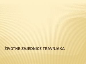 IVOTNE ZAJEDNICE TRAVNJAKA UVOD TO SU TRAVNJACI KOJA