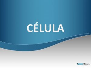 CLULA CLULA Protoplasma Carioplasma Citoplasma CLULA CLULA A