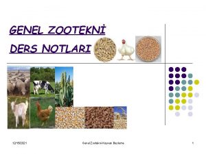 GENEL ZOOTEKN DERS NOTLARI 12152021 Genel ZootekniHayvan Besleme