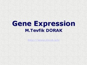 Gene Expression M Tevfik DORAK http www dorak