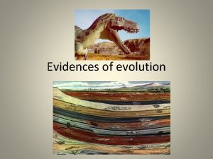 Evidences of evolution 1 Paleontology or the Fossil