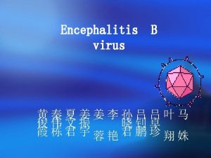 Biological properties Also called Japanese encephalitis virus flavivirus