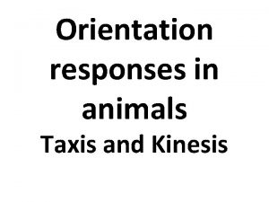 Orientation responses in animals Taxis and Kinesis Orientation