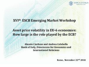 XVIth ESCB Emerging Market Workshop Asset price volatility