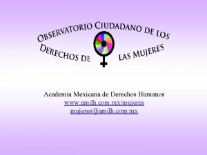 Academia Mexicana de Derechos Humanos www amdh com