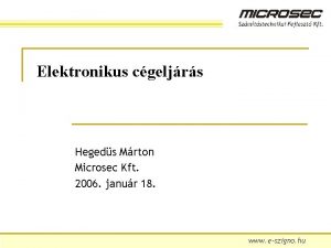 Elektronikus cgeljrs Hegeds Mrton Microsec Kft 2006 janur