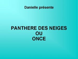Danielle prsente PANTHERE DES NEIGES OU ONCE La