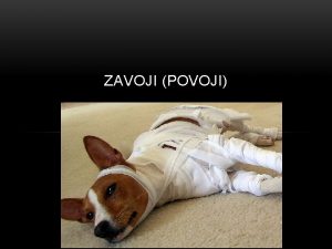 ZAVOJI POVOJI ULOGA POVOJA 1 hemostaza 2 zatita