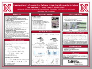 Investigation of a Nanoparticle Delivery System for Micronutrients