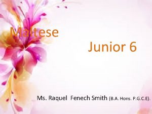 Maltese Junior 6 Ms Raquel Fenech Smith B