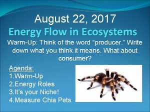 August 22 2017 Energy Flow in Ecosystems WarmUp