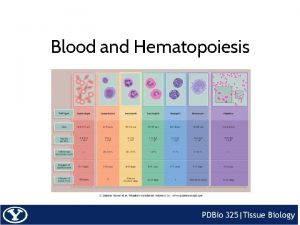 Blood and Hematopoiesis Functions of Blood Hematopoiesis Higher