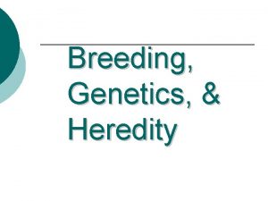 Breeding Genetics Heredity Key Terms Term Definition Heredity