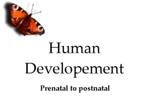 Human Developement Prenatal to postnatal Prenatal Starts as