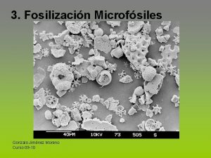 3 Fosilizacin Microfsiles Gonzalo Jimnez Moreno Curso 09