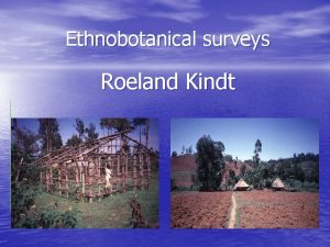 Ethnobotanical surveys Roeland Kindt Outline What is ethnobotany