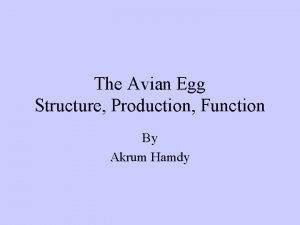 The Avian Egg Structure Production Function By Akrum