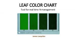 LEAF COLOR CHART Tool for real time N