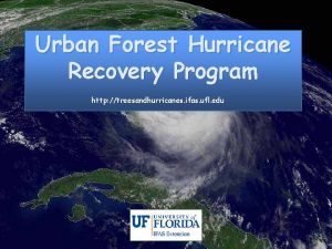 Urban Forest Hurricane Recovery Program http treesandhurricanes ifas