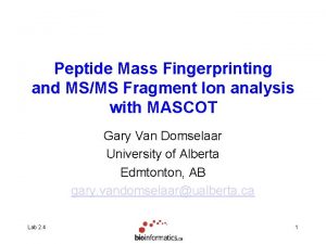 Peptide Mass Fingerprinting and MSMS Fragment Ion analysis