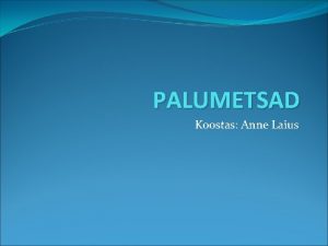 PALUMETSAD Koostas Anne Laius Valguskllased palumetsad kasvavad peamiselt